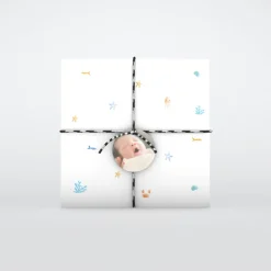 Faire-part Naissance Animaux | Faire-part Naissance Garçon^Planet cards Coquillages Et Étoiles De Mer Garçon