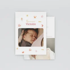 Faire-part Naissance Animaux | Faire-part Naissance Fille^Planet cards Coquillages Et Étoiles De Mer Fille