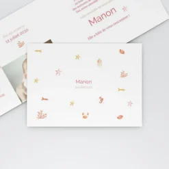 Faire-part Naissance Animaux | Faire-part Naissance Fille^Planet cards Coquillages Et Étoiles De Mer Fille