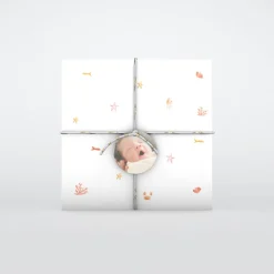 Faire-part Naissance Animaux | Faire-part Naissance Fille^Planet cards Coquillages Et Étoiles De Mer Fille