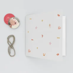 Faire-part Naissance Animaux | Faire-part Naissance Fille^Planet cards Coquillages Et Étoiles De Mer Fille