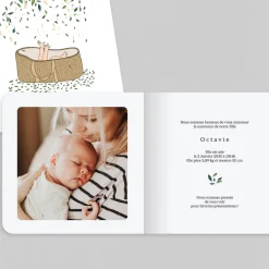 Créations En Collaboration | Faire-part Naissance Fille^Planet cards Couffin et Petites Feuilles