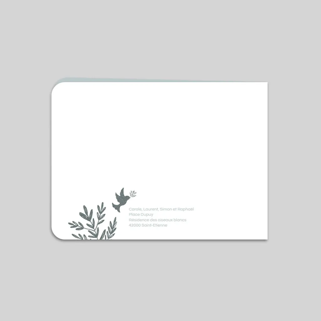 Faire-part Baptême Original | Faire-part Baptême Champêtre^Planet cards Couronne Végétale et Colombes Garçon