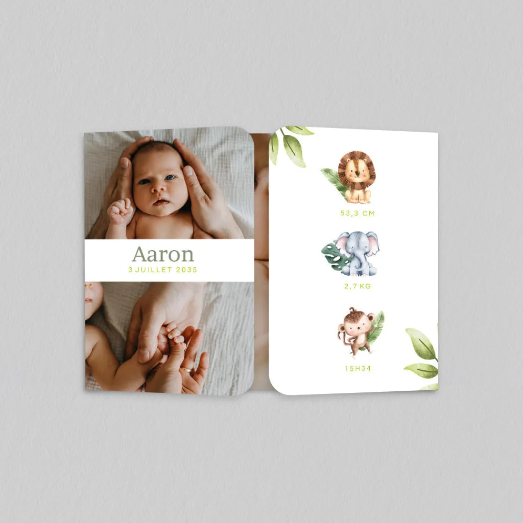 Faire-part Naissance Animaux | Faire-part Naissance Garçon^Planet cards Dans la Jungle
