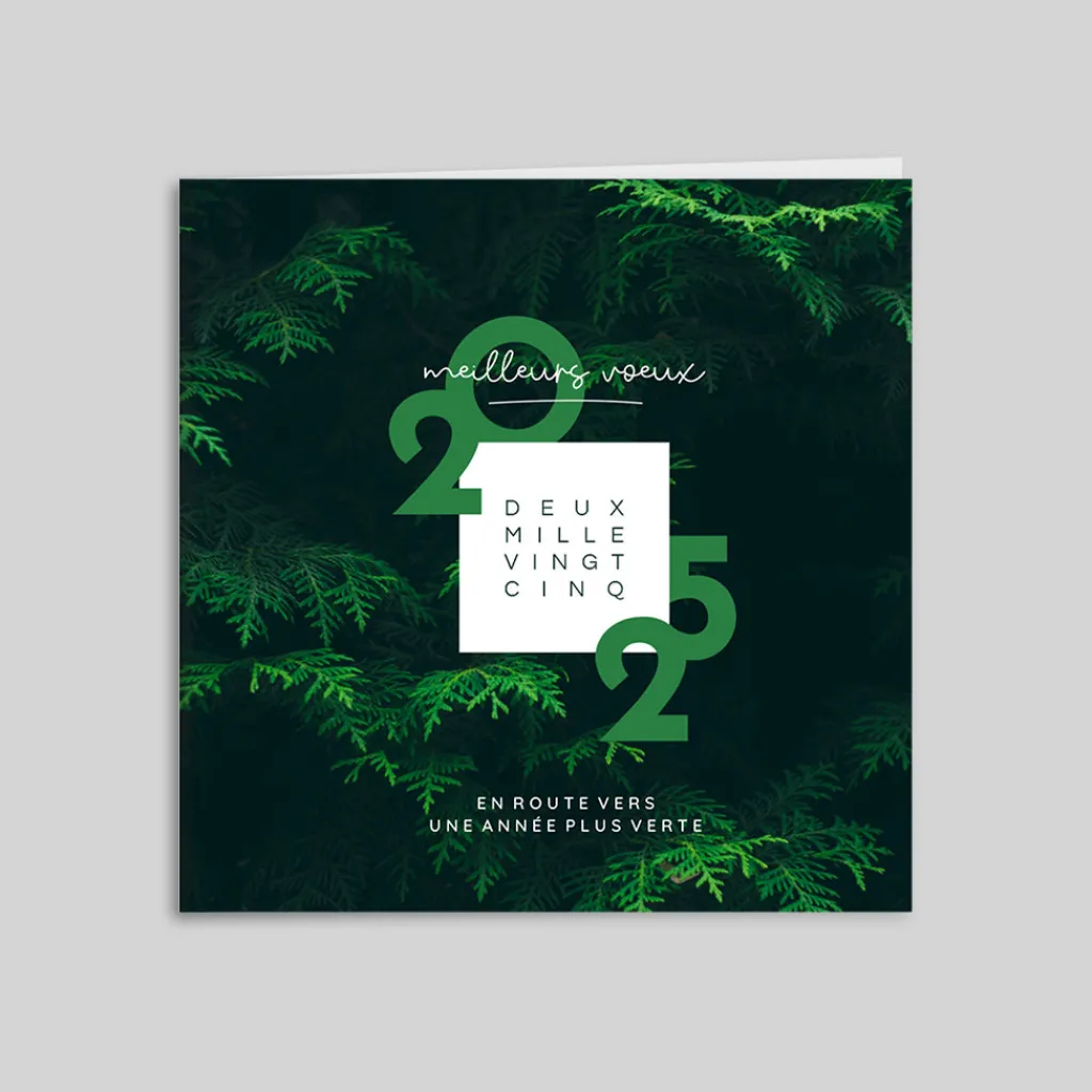 Carte De Vœux Entreprise Nature^Planet cards Dans les Sapins