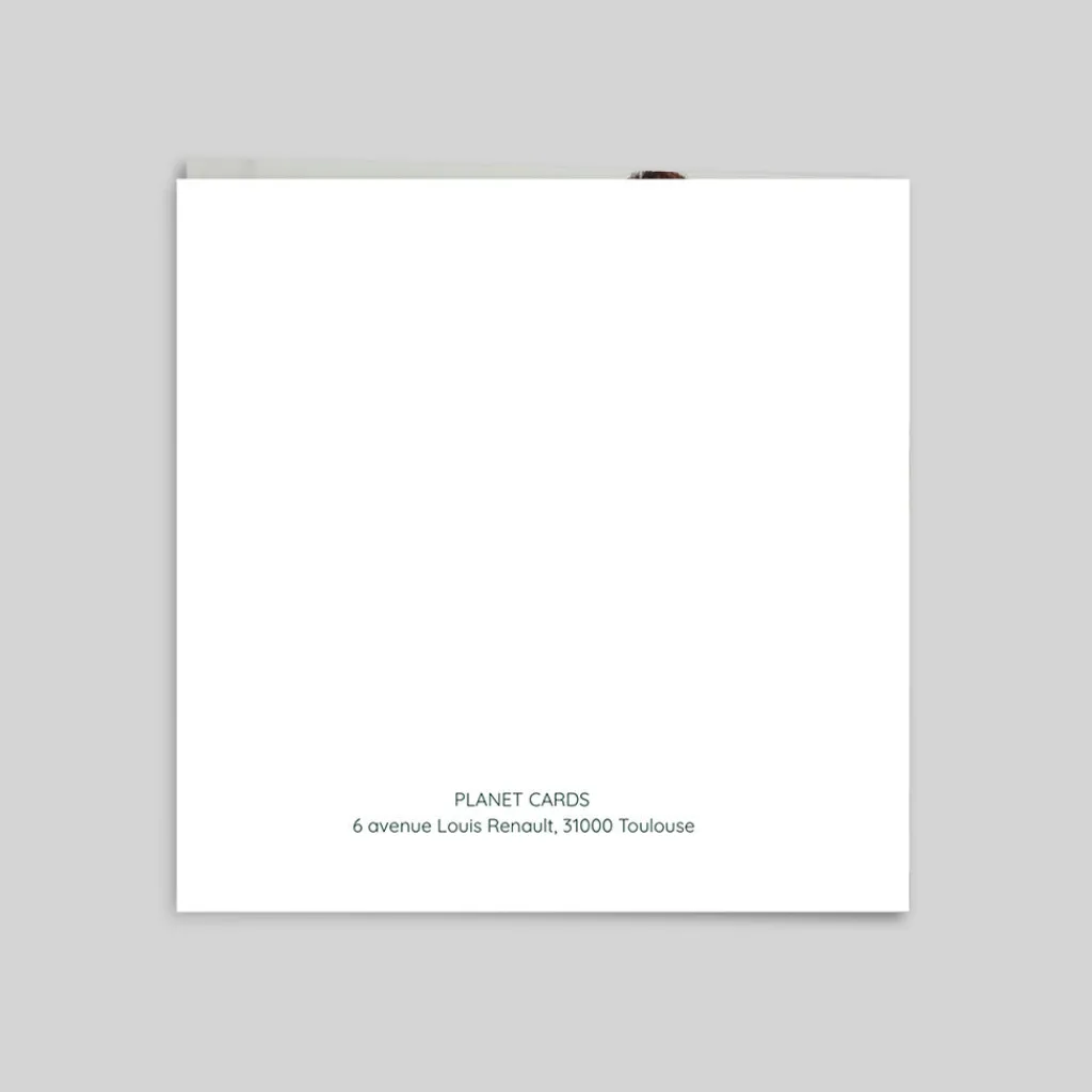 Carte De Vœux Entreprise Nature^Planet cards Dans les Sapins