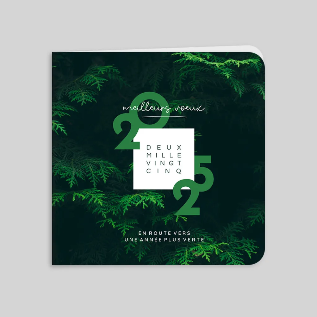 Carte De Vœux Entreprise Nature^Planet cards Dans les Sapins