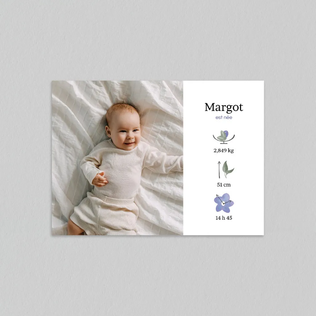 Faire-part Naissance Fille^Planet cards Delphimium Délicat