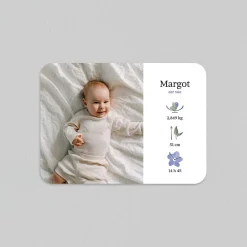 Faire-part Naissance Fille^Planet cards Delphimium Délicat