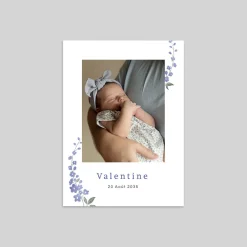 Faire-part Naissance Fille^Planet cards Delphimium Délicat