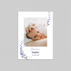 Faire-part Naissance Fille^Planet cards Delphimium Et Pictos