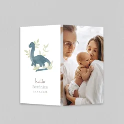 Faire-part Naissance Animaux | Faire-part Naissance Garçon^Planet cards Dinosaure Aquarelle