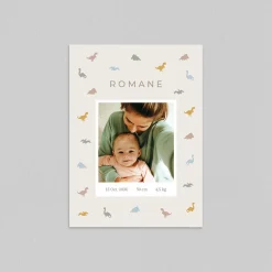 Faire-part Naissance Animaux | Faire-part Naissance Fille^Planet cards Dinosaure Liberty