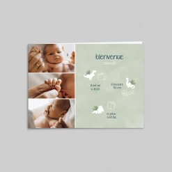 Faire-part Naissance Animaux | Faire-part Naissance Garçon^Planet cards Dinosaures et Pictos