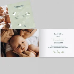 Faire-part Naissance Animaux | Faire-part Naissance Garçon^Planet cards Dinosaures et Pictos