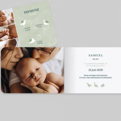 Faire-part Naissance Animaux | Faire-part Naissance Garçon^Planet cards Dinosaures et Pictos