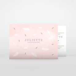 Faire-part Naissance Fille^Planet cards Douceur Plume