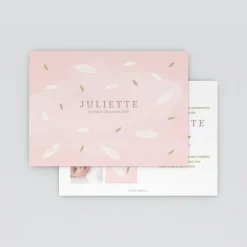 Faire-part Naissance Fille^Planet cards Douceur Plume