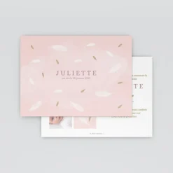 Faire-part Naissance Fille^Planet cards Douceur Plume
