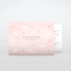 Faire-part Naissance Fille^Planet cards Douceur Plume