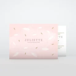 Faire-part Naissance Fille^Planet cards Douceur Plume