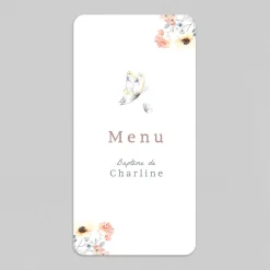 Menu Baptême^Planet cards Doux Papillon