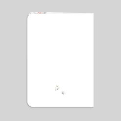 Livret De Baptême^Planet cards Doux Papillon