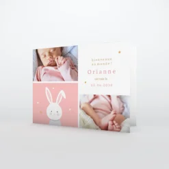 Faire-part Naissance Fille | Faire-part Naissance Animaux^Planet cards Doux petit Lapin Fille