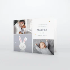 Faire-part Naissance Animaux | Faire-part Naissance Garçon^Planet cards Doux petit Lapin Garçon