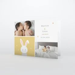 Faire-part Naissance Animaux | Faire-part Naissance Jumeaux^Planet cards Doux petit Lapin Jumeaux