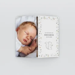 Faire-part Naissance Animaux | Faire-part Naissance Garçon^Planet cards Ecureuil et Cadre Liberty