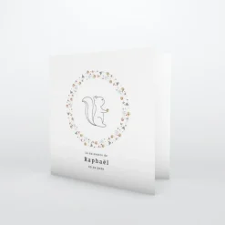Faire-part Naissance Animaux | Faire-part Naissance Fille^Planet cards Ecureuil et Couronne Liberty