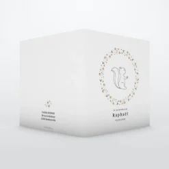 Faire-part Naissance Animaux | Faire-part Naissance Fille^Planet cards Ecureuil et Couronne Liberty