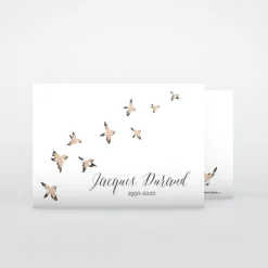 Carte Remerciement Décès | Faire-part Décès^Planet cards Envolée d'oiseaux