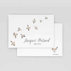Carte Remerciement Décès | Faire-part Décès^Planet cards Envolée d'oiseaux