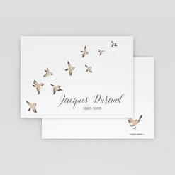 Carte Remerciement Décès | Faire-part Décès^Planet cards Envolée d'oiseaux