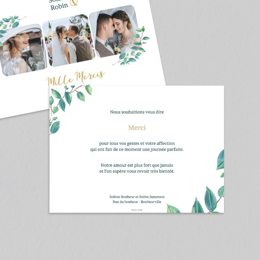 Carte Remerciement Mariage Champêtre^Planet cards Eucalyptus Et Or