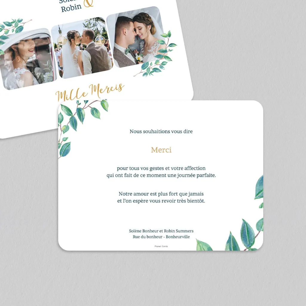 Carte Remerciement Mariage Champêtre^Planet cards Eucalyptus Et Or