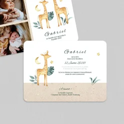 Faire-part Naissance Animaux | Faire-part Naissance Garçon^Planet cards Famille Girafe