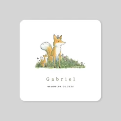 Faire-part Naissance Animaux | Créations En Collaboration^Planet cards Famille Renard