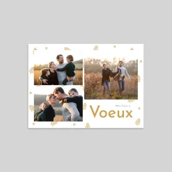 Carte De Vœux Famille | Carte De Vœux Nature^Planet cards Feuilles De Houx