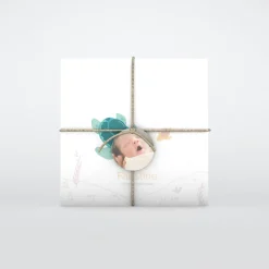 Faire-part Naissance Animaux | Faire-part Naissance Fille^Planet cards Jolie Tortue Fille