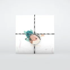 Faire-part Naissance Animaux | Faire-part Naissance Fille^Planet cards Jolie Tortue Fille