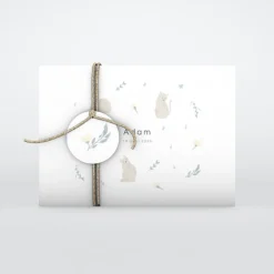 Faire-part Naissance Animaux | Faire-part Naissance Fille^Planet cards Jolis Chats