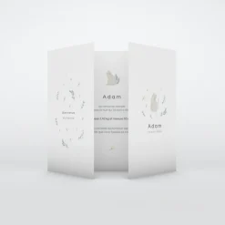 Faire-part Naissance Animaux | Faire-part Naissance Fille^Planet cards Jolis Chats