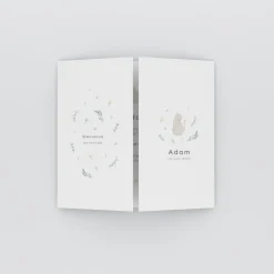 Faire-part Naissance Animaux | Faire-part Naissance Fille^Planet cards Jolis Chats