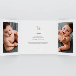 Faire-part Naissance Animaux | Faire-part Naissance Fille^Planet cards Jolis Chats