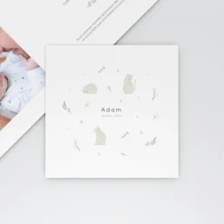 Faire-part Naissance Animaux | Faire-part Naissance Fille^Planet cards Jolis Chats