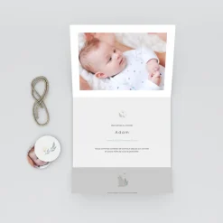 Faire-part Naissance Animaux | Faire-part Naissance Fille^Planet cards Jolis Chats