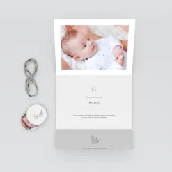 Faire-part Naissance Animaux | Faire-part Naissance Fille^Planet cards Jolis Chats